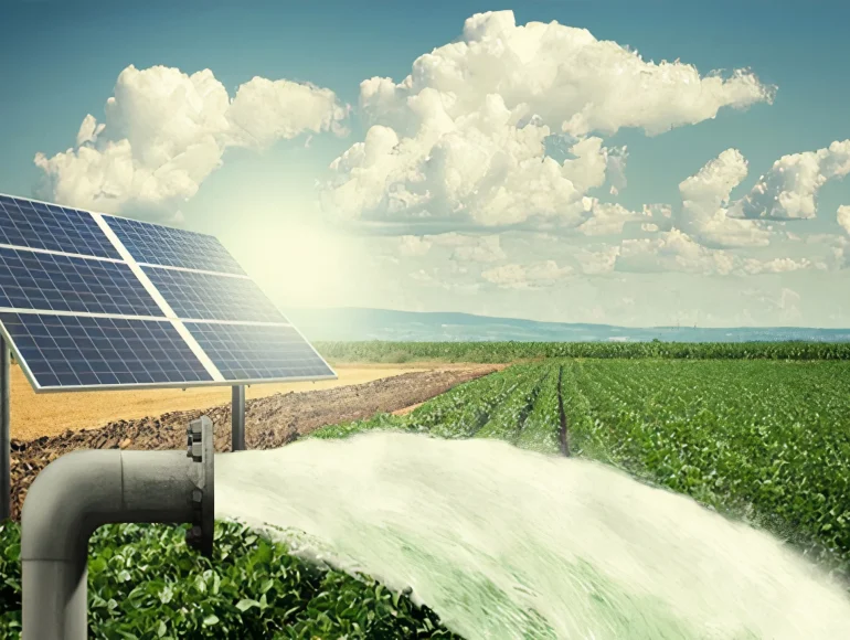Solar Farming is Future of Agriculture